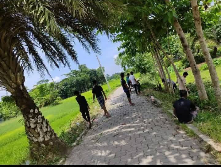 হাইমচরে ভাইরাল ‘খেজুর গাছতলা’ এখন কিশোর গ্যাংয়ের আড্ডাখানা, চায়ের দোকান নিয়ে উদ্বেগ